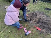 Eine Eiche für Ava – der lange Weg einer Eiche(l) aus dem Volkspark Friedrichshain bis zum Waldfriedhof in Schöneiche. Foto: Jürgen Bosenius